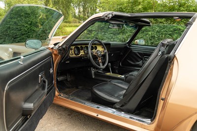Lot 22 - 1979 Pontiac Trans-Am Fire Bird