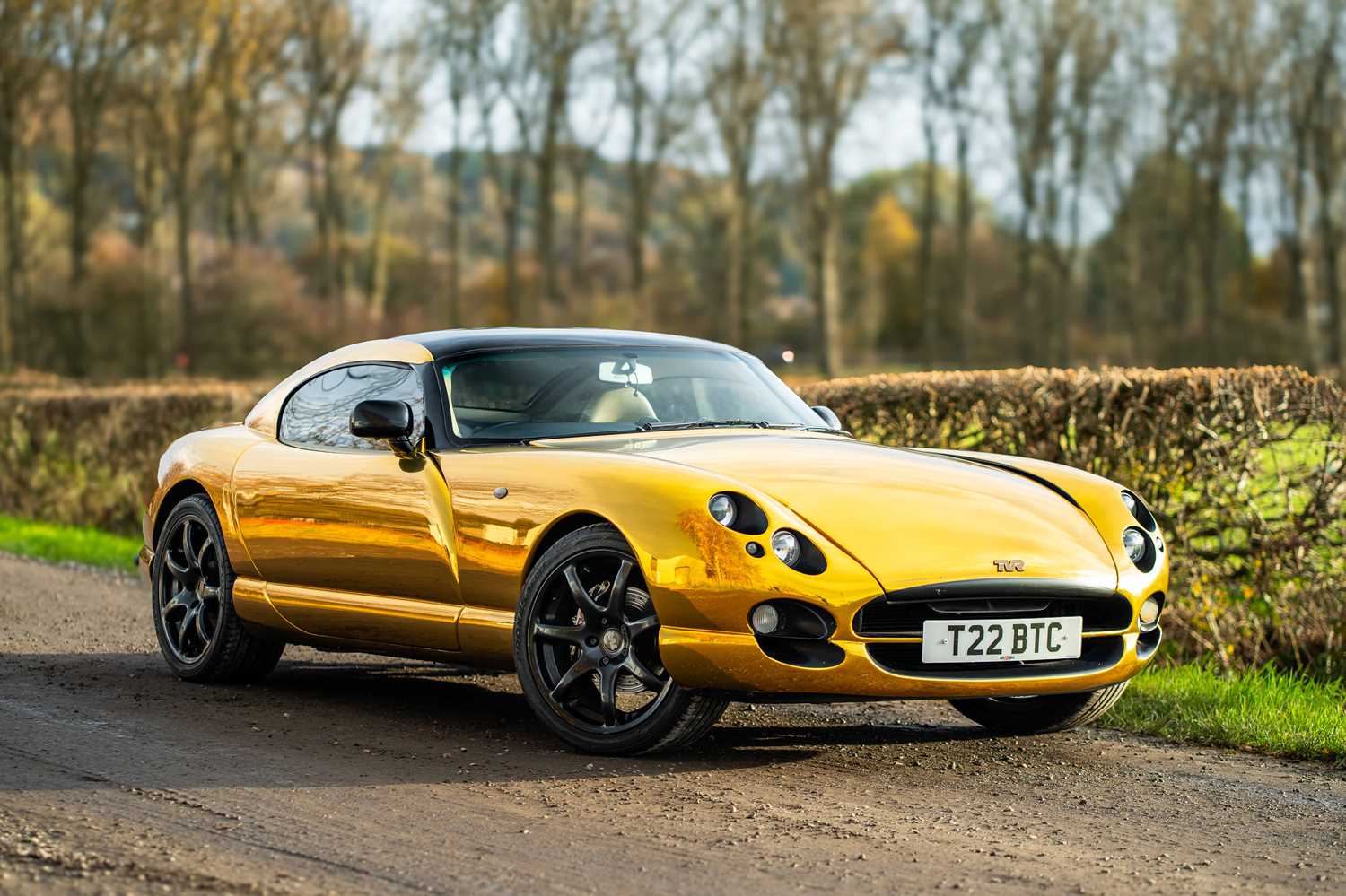 Lot 66 - 2001 TVR Cerbera Speed Six