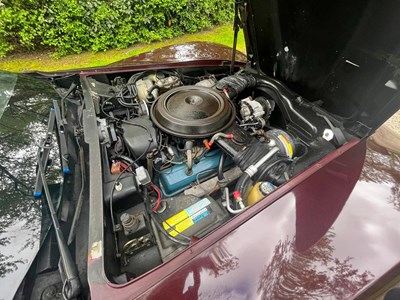 Lot 37 - 1979 Chevrolet Corvette Stingray C3 Coupe