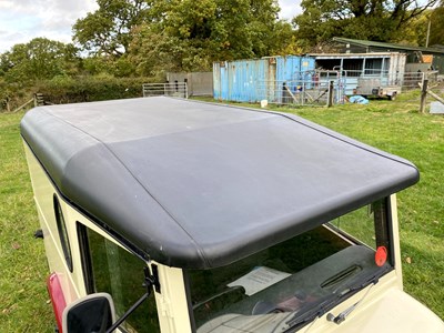 Lot 31 - 1991 Tempest Vantique